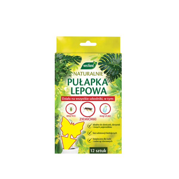 Pułapki lepowe na szkodniki