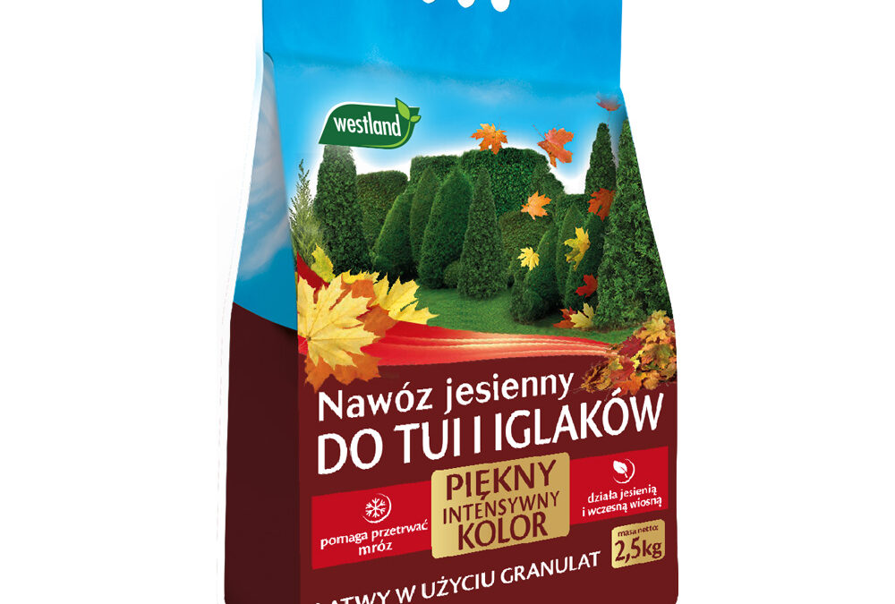 Nawóz jesienny do tui i iglaków