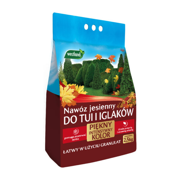 Nawóz jesienny do tui i iglaków