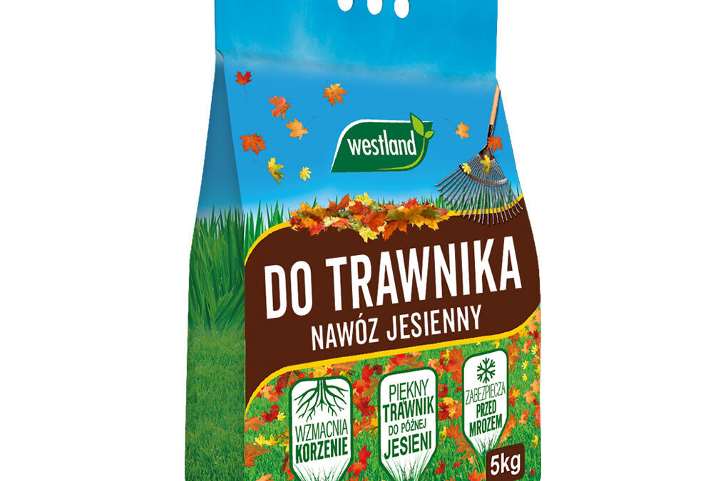 Nawóz jesienny do trawnika