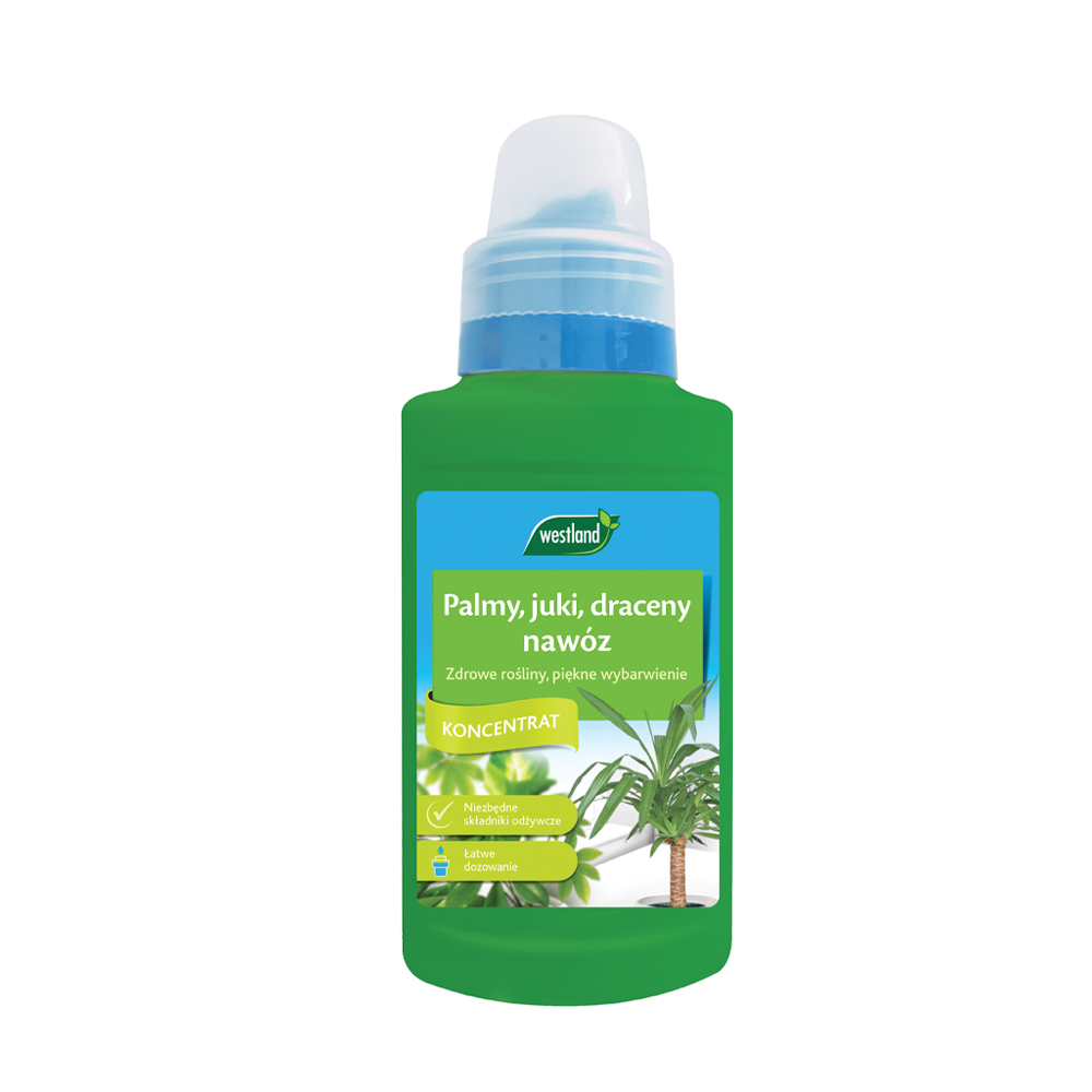 Palmy, juki, draceny nawóz płynny